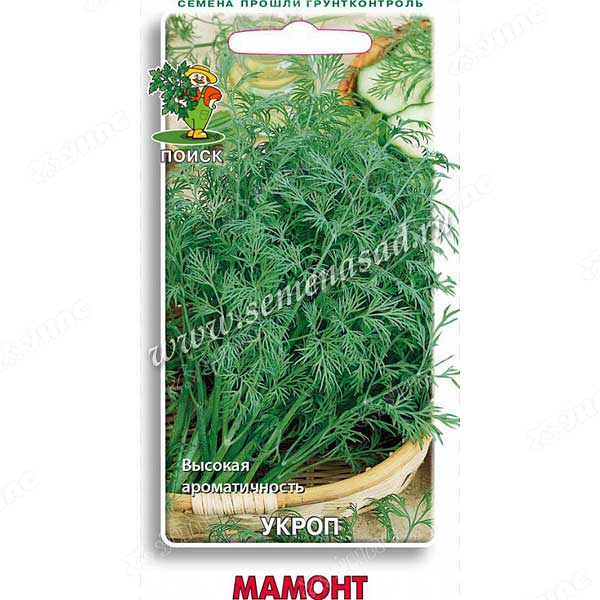 Укроп Мамонт Поиск Ц