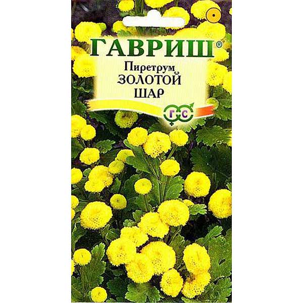 Пиретрум Золотой Шар Гавриш Ц 
