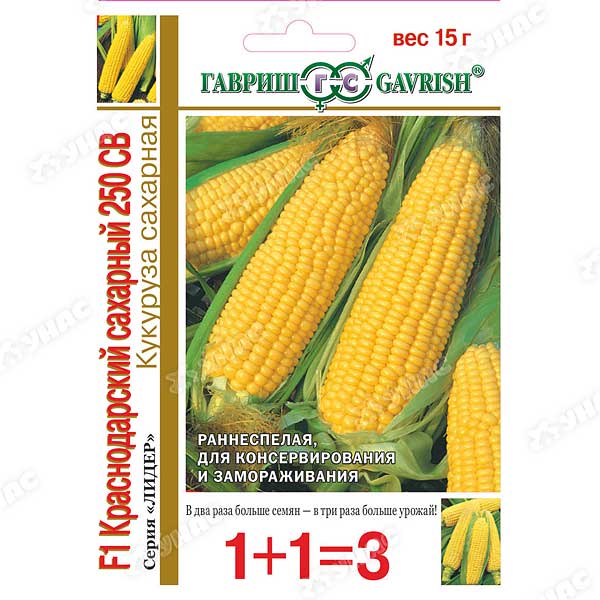 Кукуруза Краснодарский Сахарный 1+1 Гавриш Ц