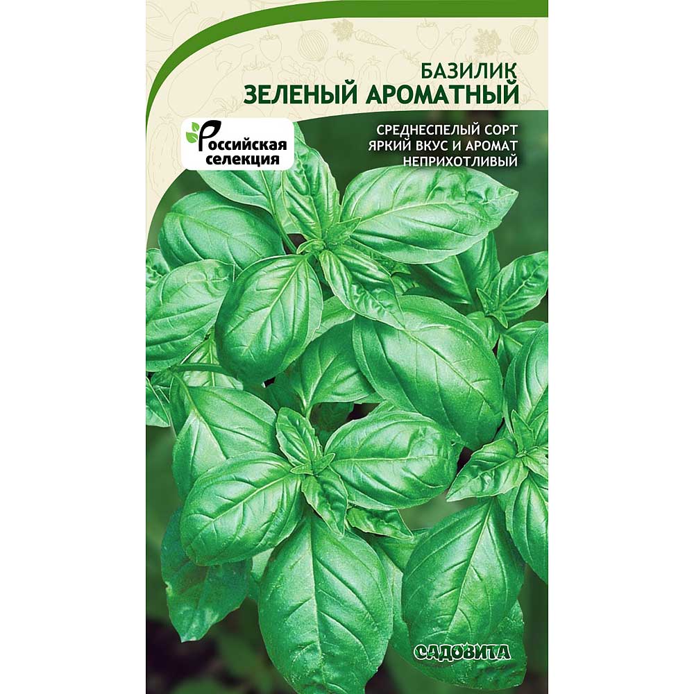 Базилик Зеленый Ароматный 0,5гр Садовита Ц – купить семена оптом