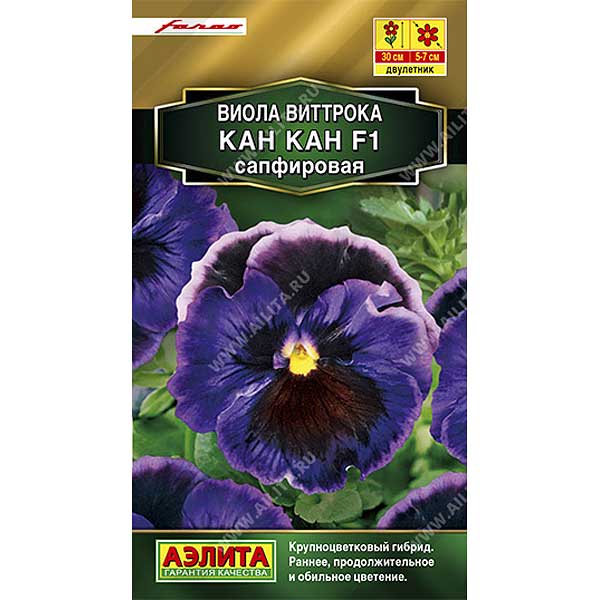 Виола Кан-кан сапфировая Аэлита Ц 