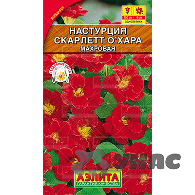 Настурция Скарлетт О Хара Аэлита Ц 