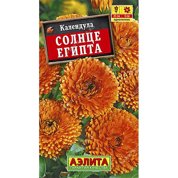 Календула Солнце Египта Аэлита Ц 