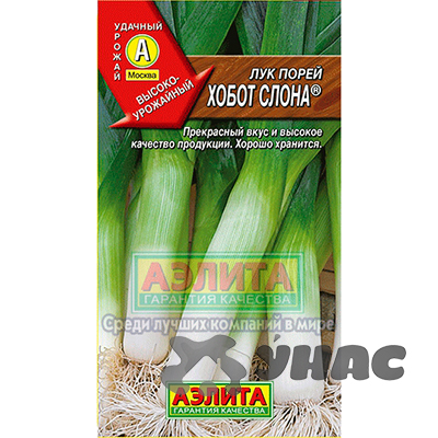 Лук порей Хобот слона Аэлита Ц