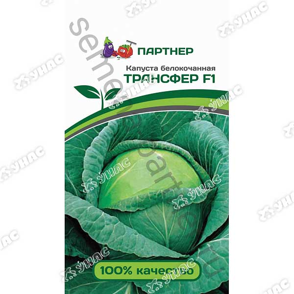 Капуста Трансфер Партнер Ц