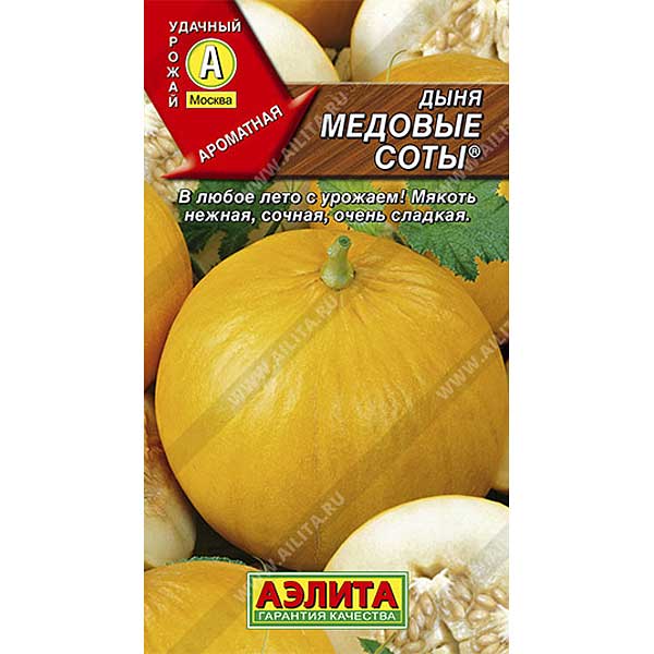 Дыня Медовые соты Аэлита Ц