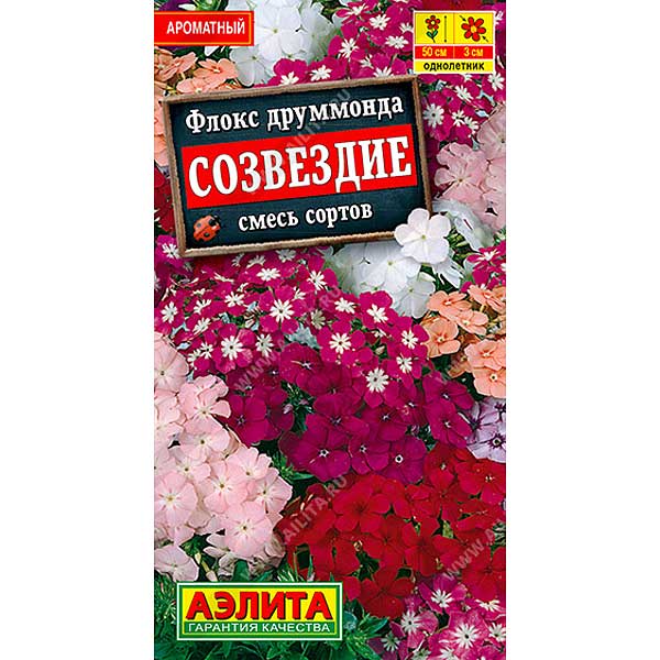 Флокс друммонда Созвездие смесь Аэлита Ц 