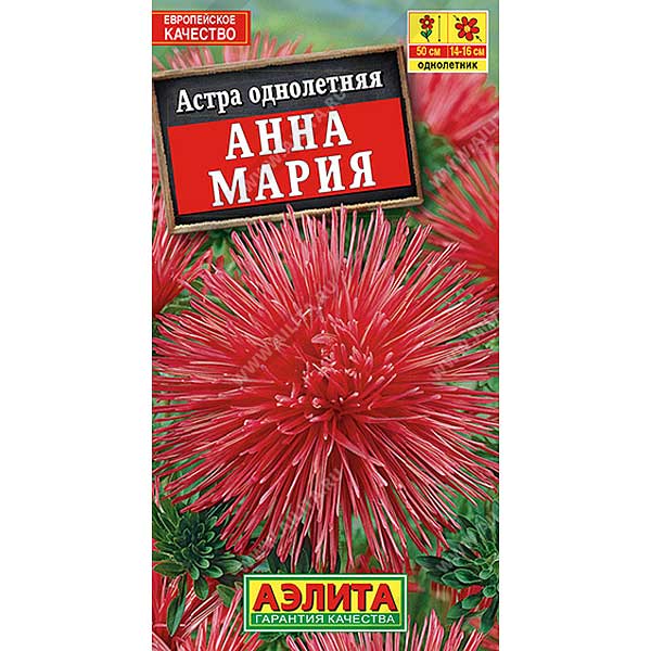 Астра Анна Мария Аэлита Ц 