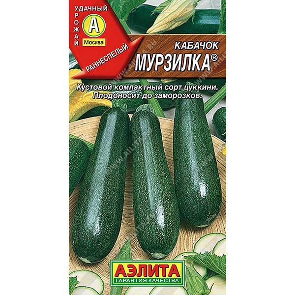 Кабачок Мурзилка цуккини Аэлита Ц