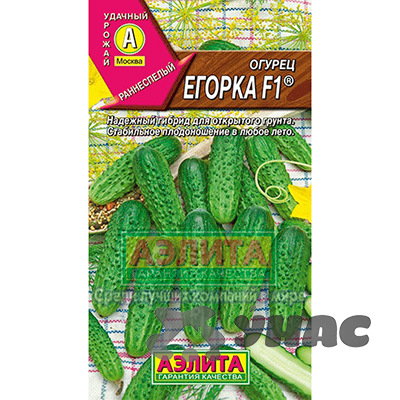 Огурец Егорка Аэлита Ц