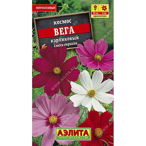 Космос Вега карликовый смесь окрасок Аэлита Ц 