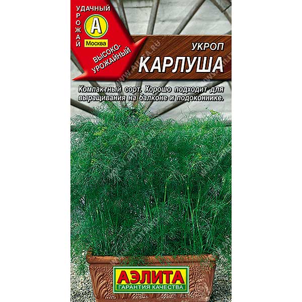 Укроп Карлуша Аэлита Ц