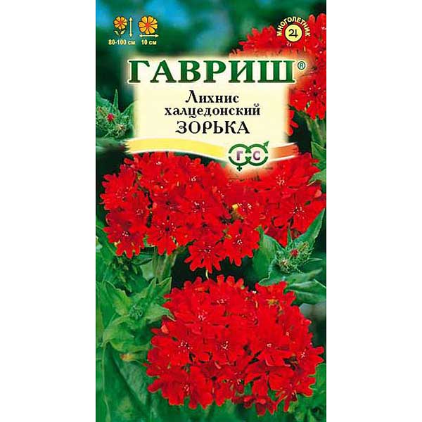 Лихнис Зорька Гавриш Ц 