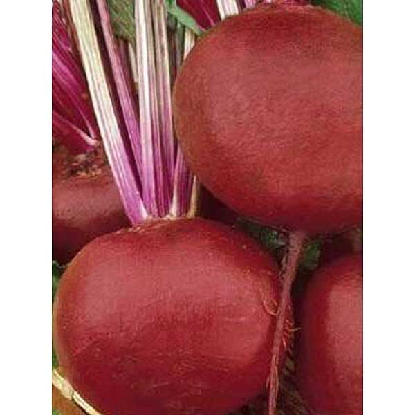 Свекла Детройт рубиновый 3 Марс Ц