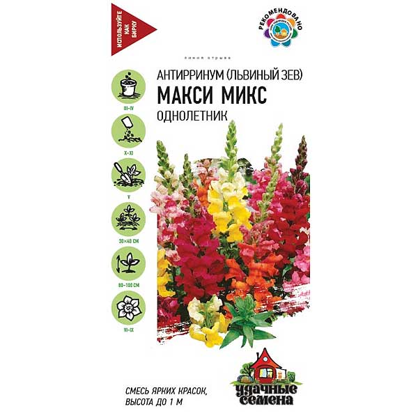 Львиный зев Макси микс Удач сем Гавриш Ц 