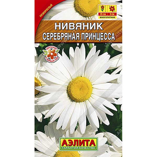 Нивяник Серебряная принцесса  Аэлита Ц 