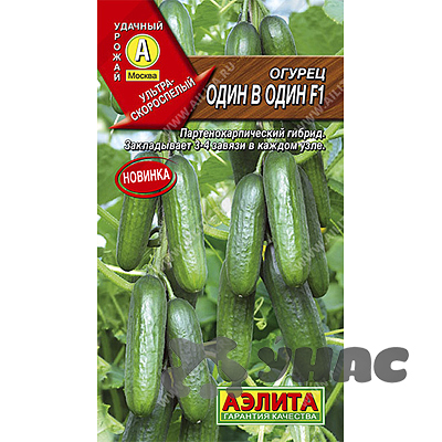 Огурец Один в один Аэлита Ц