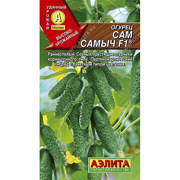 Огурец Сам самыч Аэлита Ц x10