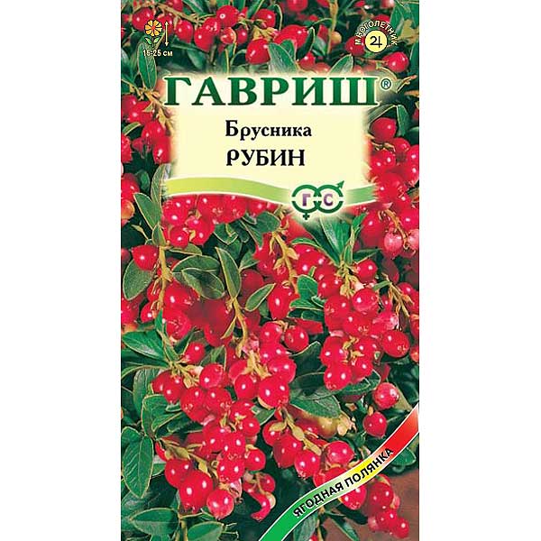 Брусника Рубин Гавриш Ц