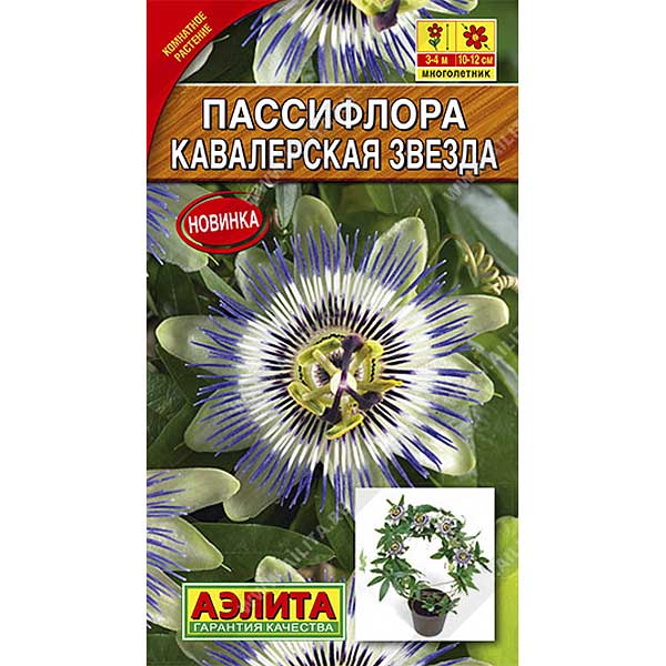 Пассифлора Кавалерская звезда Аэлита Ц 