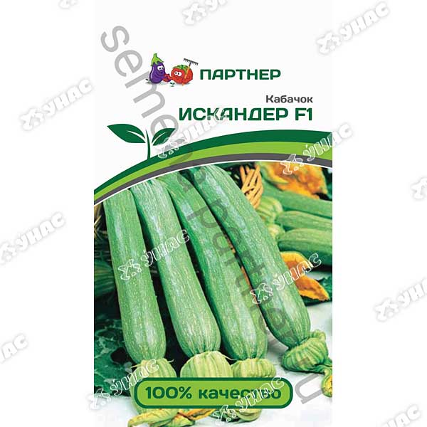 Кабачок Искандер Партнер Ц