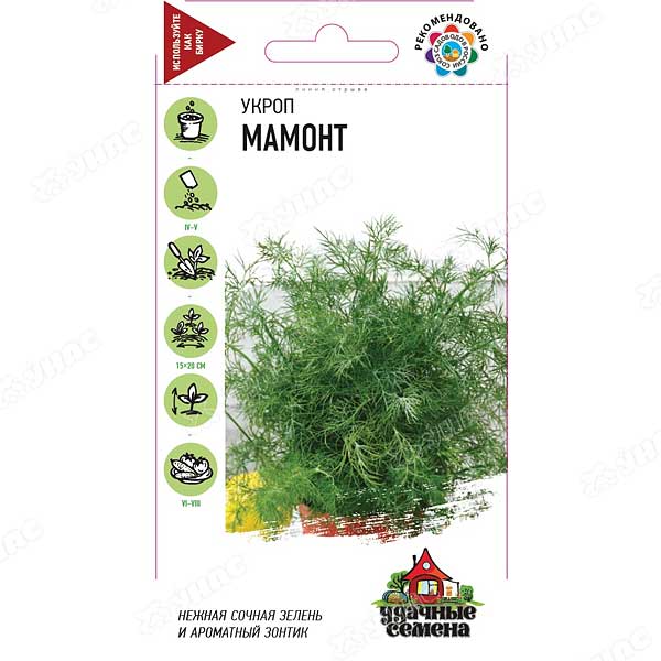 Укроп Мамонт Удачные Семена Гавриш Ц