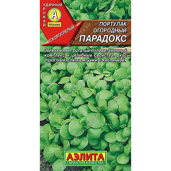 Портулак Парадокс огородный  Аэлита Ц 