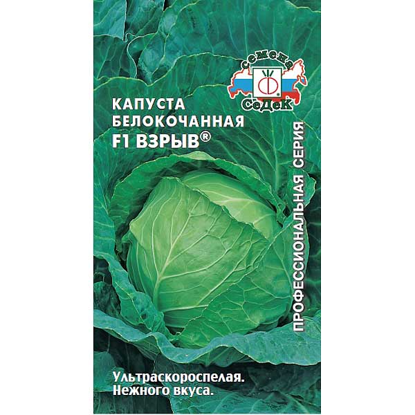 Капуста Взрыв Седек Ц