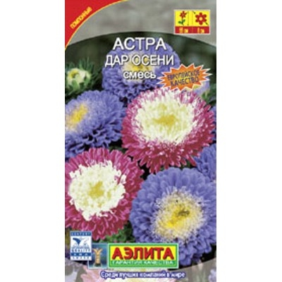 Астра Дар осени смесь Аэлита Ц 