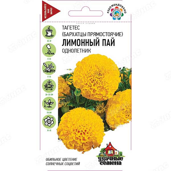 Бархатцы Лимонный пай Удач сем Гавриш Ц 