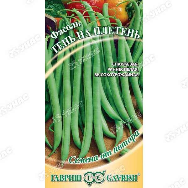 Фасоль Тень на плетень Гавриш Ц
