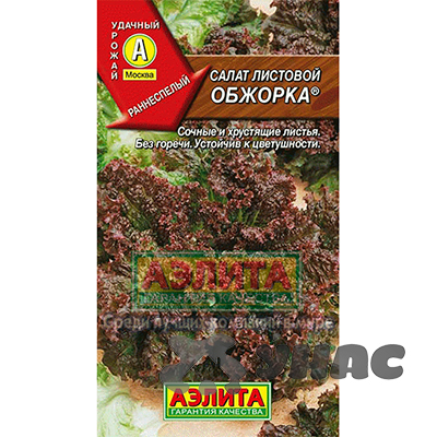 Салат Обжорка листовой Аэлита Ц