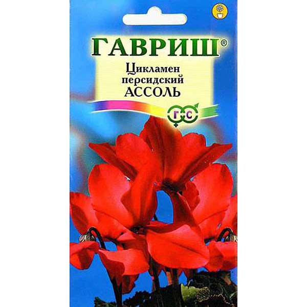 КОМ Цикламен Ассоль Гавриш Ц 