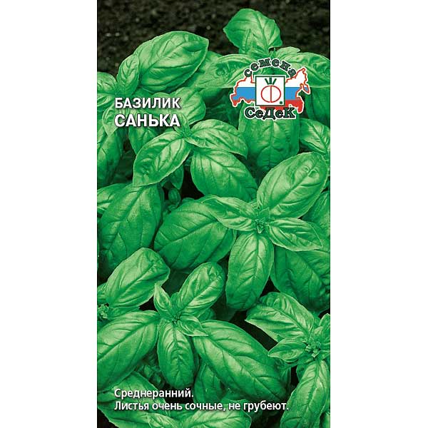 Базилик Санька Седек Ц