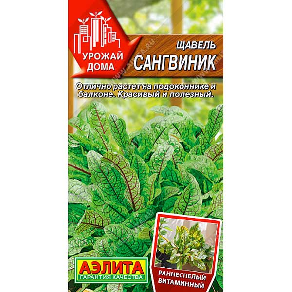 Щавель Сангвиник Аэлита Ц
