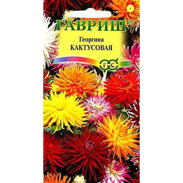 Георгин Кактусовидная Гавриш Ц 