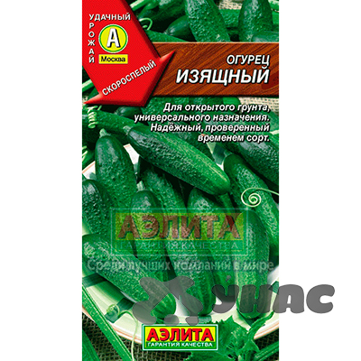 Огурец Изящный Аэлита Ц