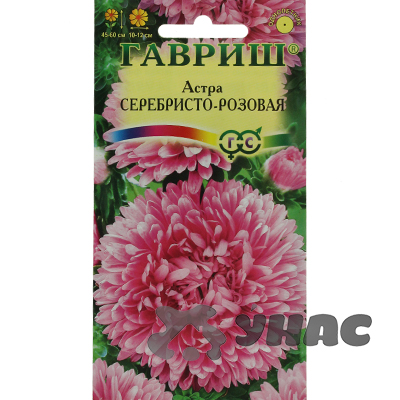 Астра Серебристо-розовая Гавриш Ц 