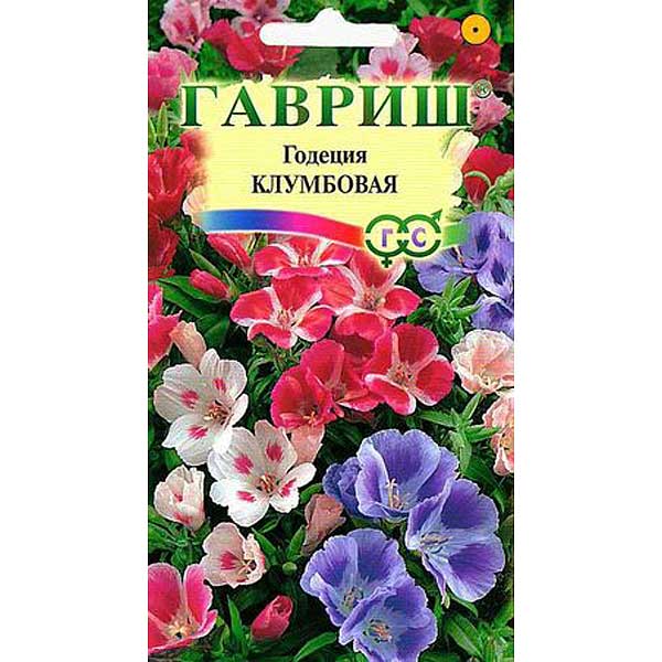 Годеция Клумбовая смесь Гавриш Ц 