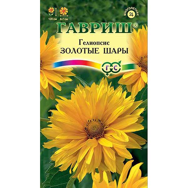 Гелиопсис Золотые шары шероховатый Гавриш Ц 