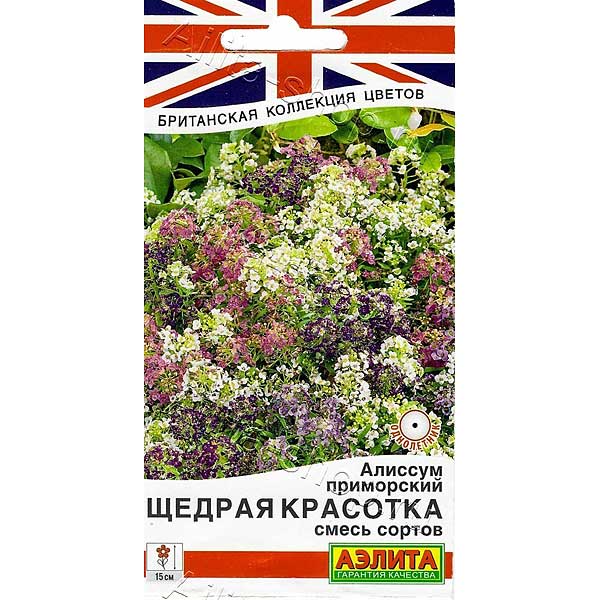 Алиссум Щедрая красотка смесь Аэлита Ц 