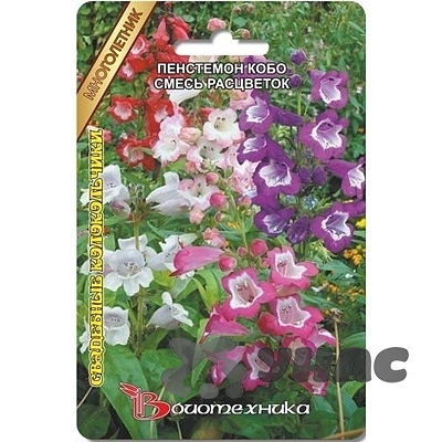 Пенстемон Свадебные колокольчики Биотехника Ц 