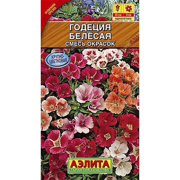 Годеция Белесая Аэлита Ц 