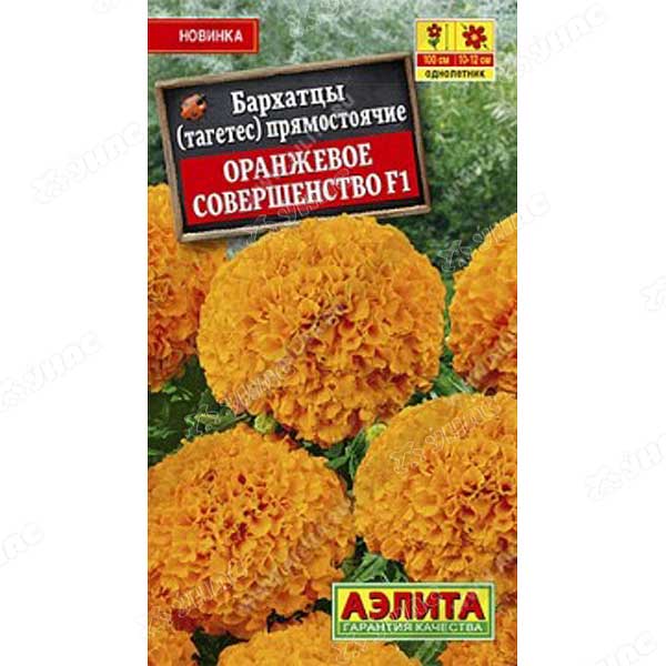 Бархатцы Оранжевое совершенство Аэлита Ц 