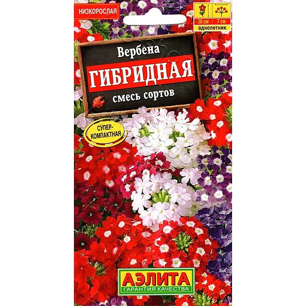 Вербена гибридная смесь сортов Аэлита Ц х10 