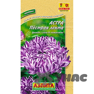 Астра Пестрая Лента Аэлита Ц 