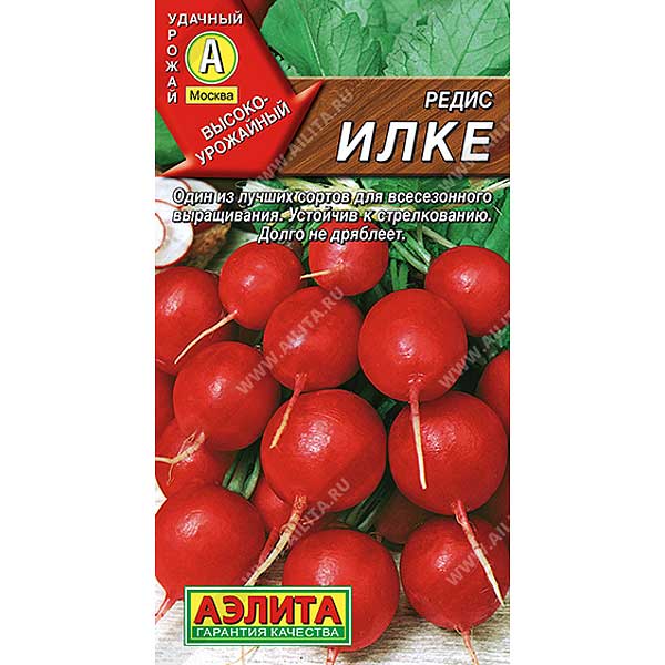 Редис Илке Аэлита Ц