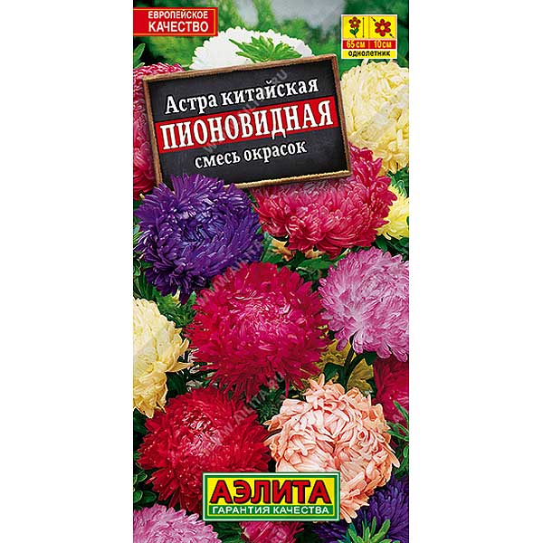Астра Пионовидная смесь Аэлита Ц 