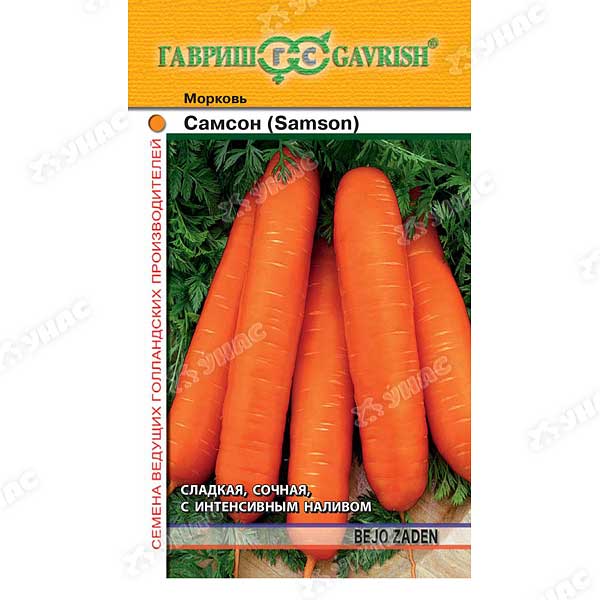 Морковь Самсон Гавриш Ц