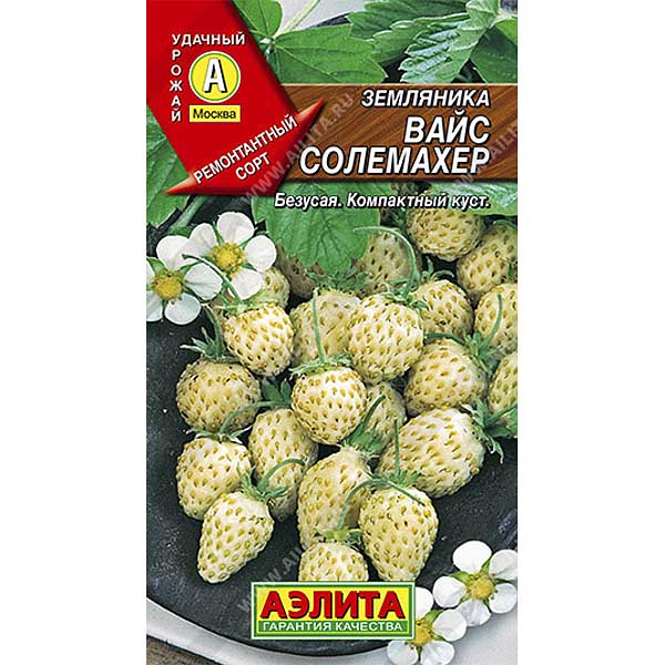Земляника Вайс Солемахер (белая) Аэлита Ц